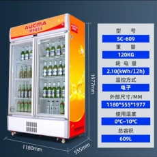 澳柯玛饮料柜展示柜立式冷藏商用冰柜冰箱风直冷便利店超市饮料啤酒鲜花水果保鲜柜陈列柜冰箱 SC-609升【双门大容量】